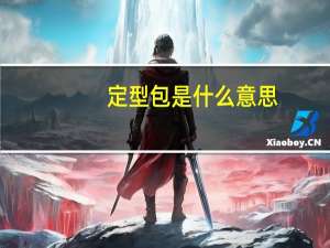 定型包是什么意思
