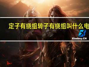 定子有绕组转子有绕组叫什么电机