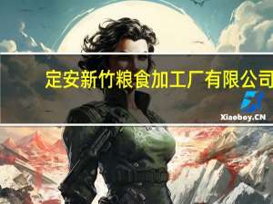 定安新竹粮食加工厂有限公司(关于定安新竹粮食加工厂有限公司简述)