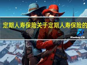 定期人寿保险 关于定期人寿保险的介绍