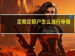 定期定额户怎么自行申报