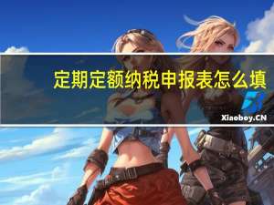定期定额纳税申报表怎么填