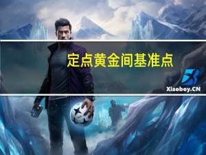定点黄金间基准点(关于定点黄金间基准点简述)