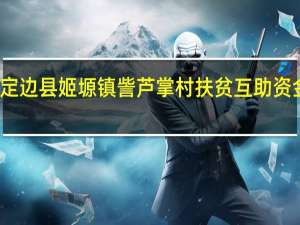 定边县姬塬镇訾芦掌村扶贫互助资金协会(关于定边县姬塬镇訾芦掌村扶贫互助资金协会简述)