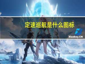 定速巡航是什么图标（定速巡航是什么）