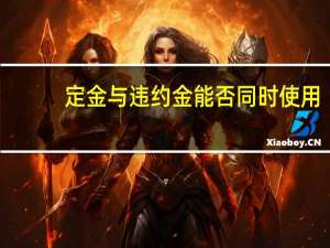 定金与违约金能否同时使用