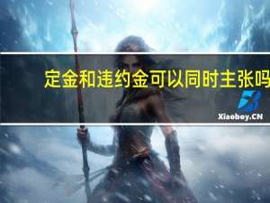 定金和违约金可以同时主张吗