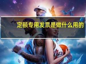 定额专用发票是做什么用的