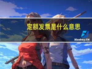 定额发票是什么意思