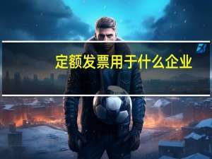 定额发票用于什么企业