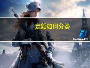 定额如何分类