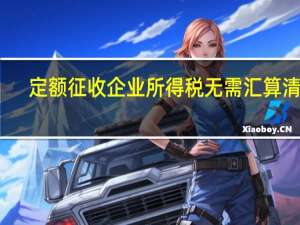 定额征收企业所得税无需汇算清缴（定额征收企业所得税）