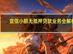 宜信小额无抵押贷款业务全解析