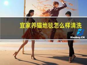 宜家养猫地毯怎么样清洗