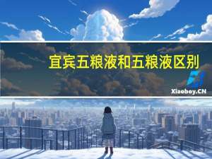 宜宾五粮液和五粮液区别