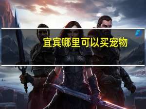 宜宾哪里可以买宠物