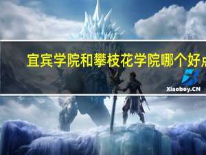 宜宾学院和攀枝花学院哪个好点