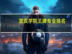 宜宾学院王牌专业排名