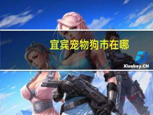 宜宾宠物狗市在哪