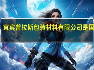 宜宾普拉斯包装材料有限公司是国企吗