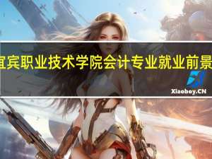 宜宾职业技术学院会计专业就业前景怎么样