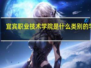 宜宾职业技术学院是什么类别的学校