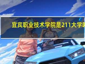 宜宾职业技术学院是211大学吗