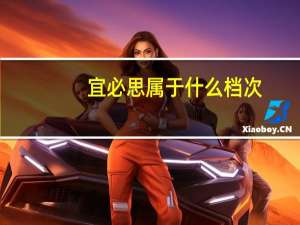 宜必思属于什么档次