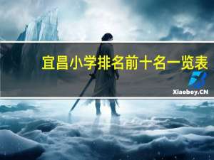 宜昌小学排名前十名一览表