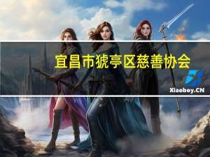 宜昌市猇亭区慈善协会(关于宜昌市猇亭区慈善协会简述)
