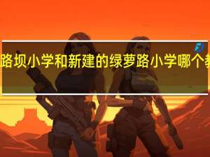 宜昌市铁路坝小学和新建的绿萝路小学哪个教育质量更好些