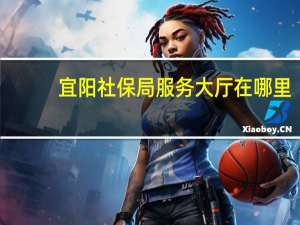 宜阳社保局服务大厅在哪里