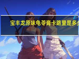 宝丰龙 原味龟苓膏卡路里是多少