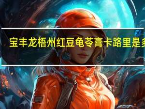 宝丰龙 梧州红豆龟苓膏卡路里是多少