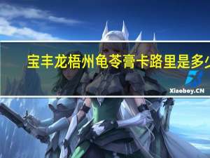 宝丰龙 梧州龟苓膏卡路里是多少