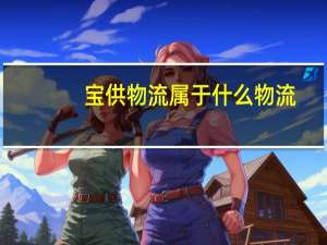 宝供物流属于什么物流（宝供物流属于什么模式）