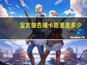 宝友 酸杏脯卡路里是多少