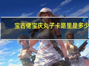 宝古佬 宝庆丸子卡路里是多少