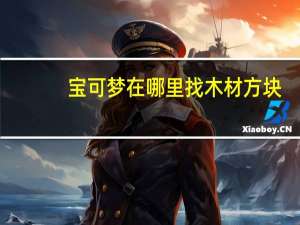 宝可梦在哪里找木材方块