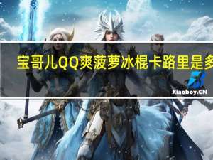 宝哥儿 QQ爽菠萝冰棍卡路里是多少