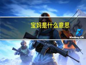 宝妈是什么意思