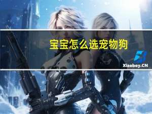 宝宝怎么选宠物狗