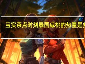 宝实 茶点时刻泰国咸桃的热量是多少