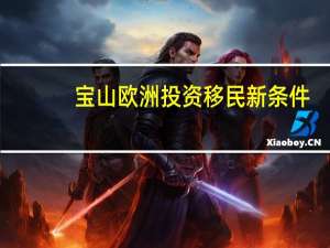 宝山欧洲投资移民新条件