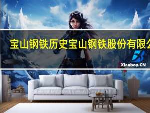 宝山钢铁历史 宝山钢铁股份有限公司
