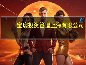 宝扇投资管理 上海有限公司(关于宝扇投资管理 上海有限公司简述)