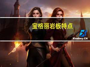 宝格丽岩板特点