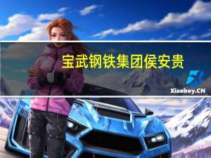 宝武钢铁集团侯安贵：每年提供3500万元资金 支持低碳冶金领域基础研究和应用技术研究