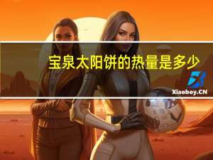 宝泉 太阳饼的热量是多少