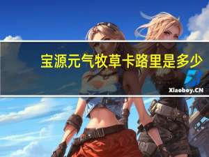 宝源 元气牧草卡路里是多少